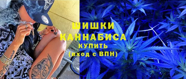 сатива Корсаков