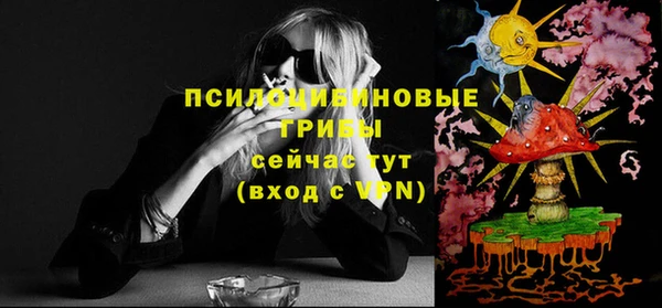 прущая мука Краснослободск
