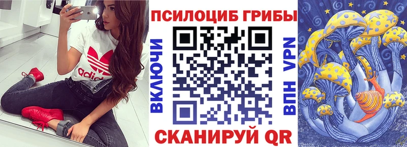Псилоцибиновые грибы GOLDEN TEACHER  что такое   Ливны 