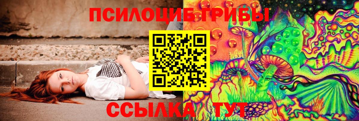 Ливны  Галлюциногенные грибы Psilocybe  Псилоцибиновые грибы Psilocybe  Вход с VPN 