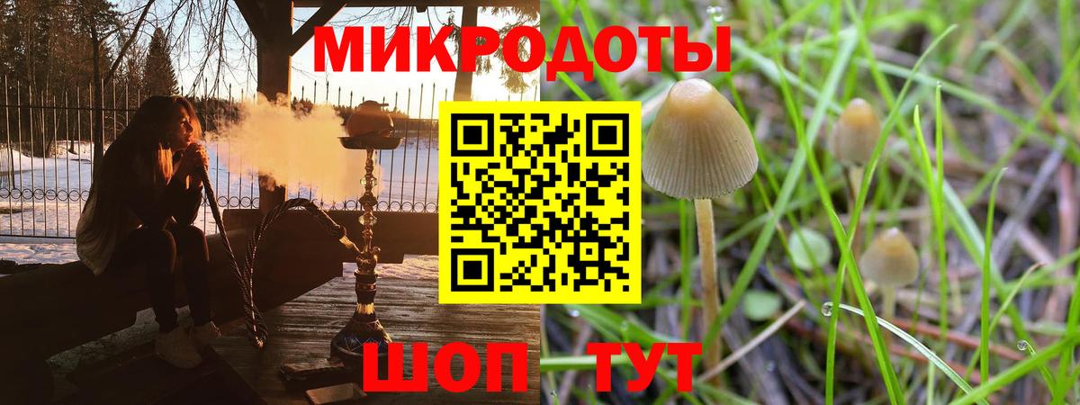 Псилоцибиновые грибы GOLDEN TEACHER Ливны